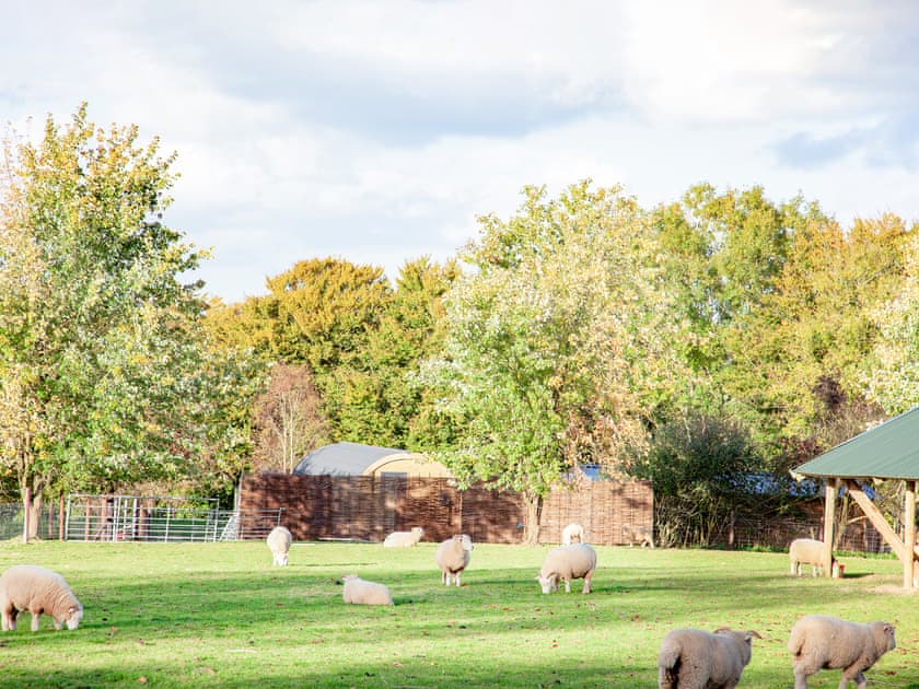 Surrounding area | Rackenford - Secret Skies, Knowstone