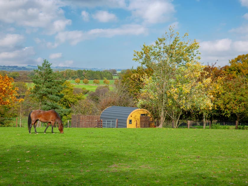 Exterior | Knowstone - Secret Skies, Knowstone