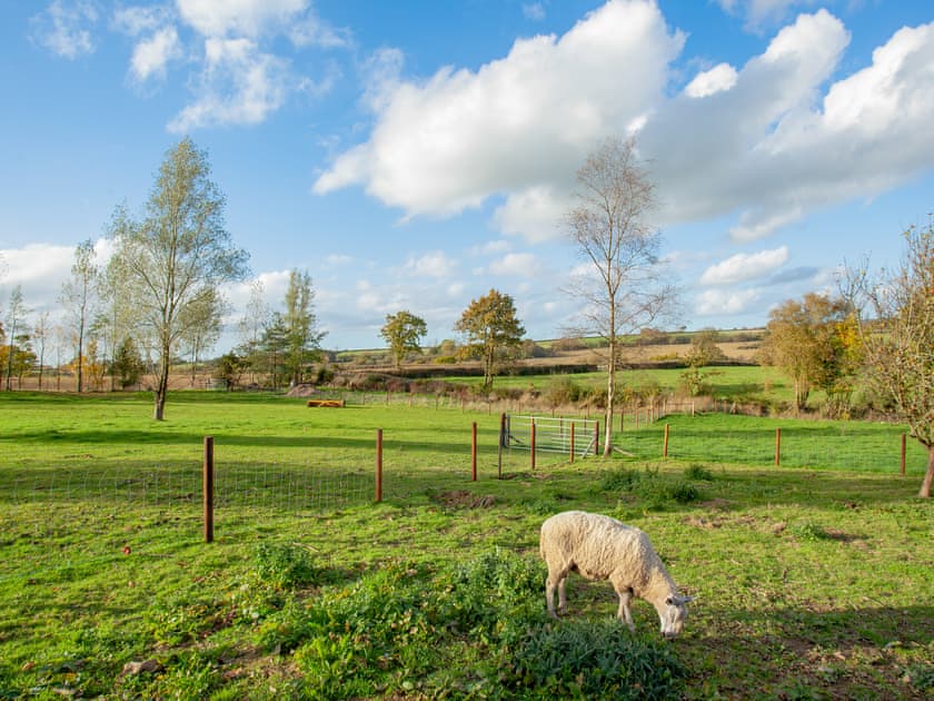 Surrounding area | Knowstone - Secret Skies, Knowstone