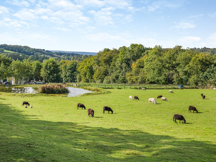 Surrounding area | Milo - Hengenin Holidays, Llandyfan, Ammanford
