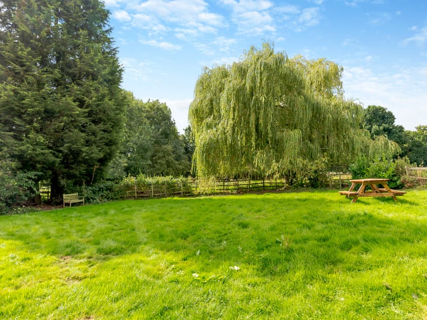 Garden | Strawberry Field - Norwood Park, All Nottinghamshire