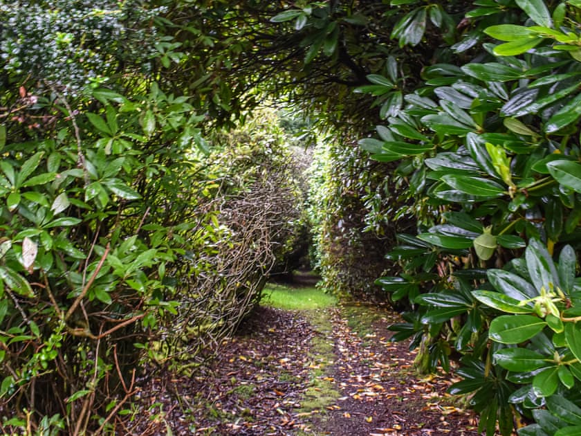 Surrounding area | Needle House, Ravenstonedale, near Kirby Stephen