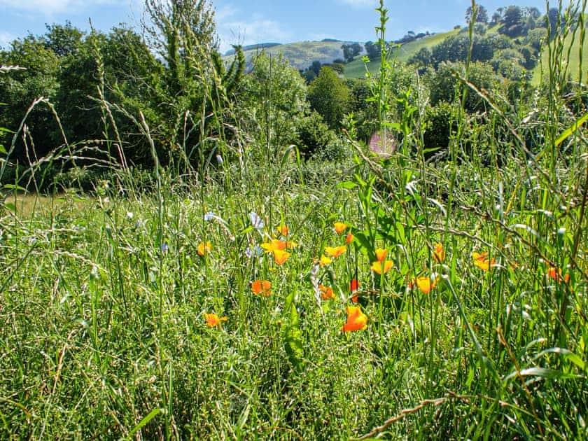 Outdoor area | Creyr Glas Pod - Y Gadlas, Penybontfawr, near Llanfyllin
