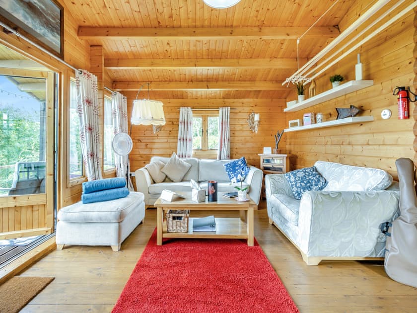 Open plan living space | The Cabin Cefn Mawr, Cefn Mawr, near Newtown