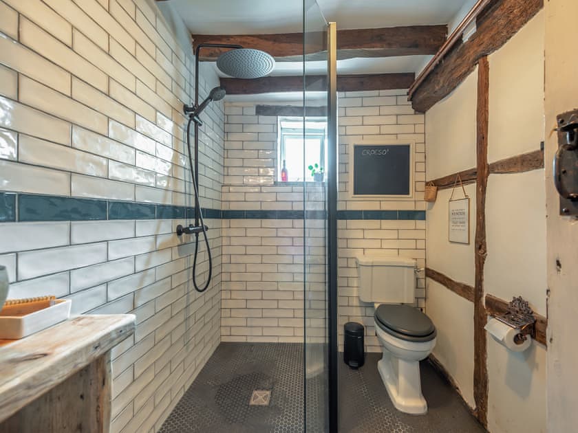 Shower room | Ynywsen Dairy Flat, Nantgaredig