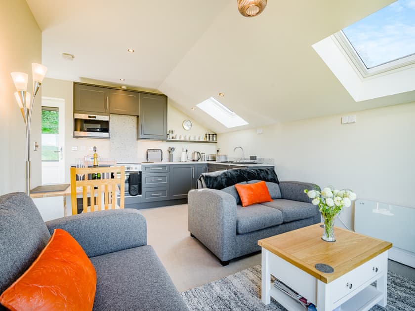 Open plan living space | Wye Nest, Ballingham, near Hereford