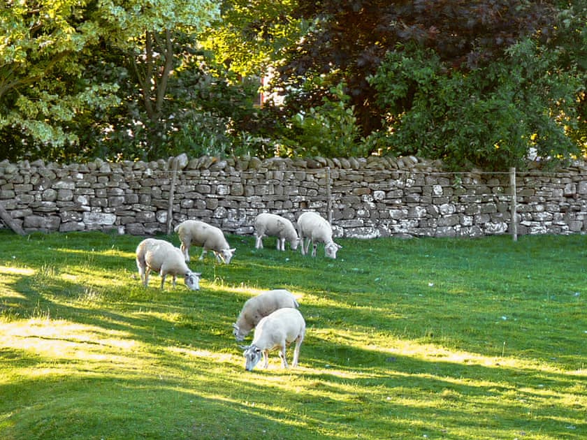 View from the front of the cottage | Snowdrop Cottage, Thornton Steward, near Leyburn