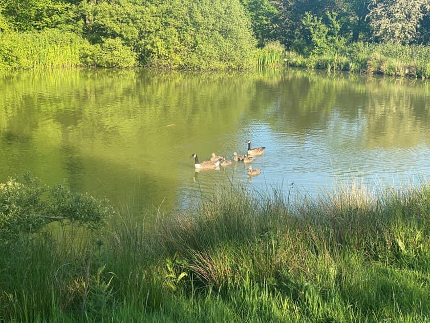 Surrounding area | Hot Tub Retreat - Otium Wine Estate, Alton