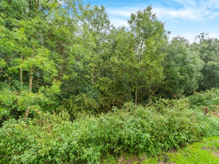 Surrounding area | 15 Bridlington Bay, Bridlington