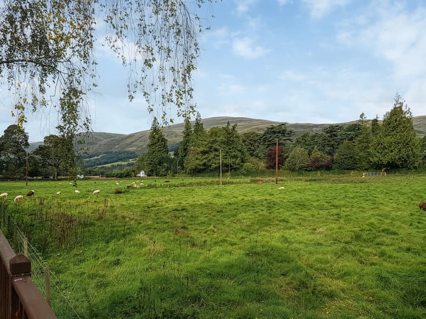 View | GlenBeagles Lodge, Dollar, near Stirling