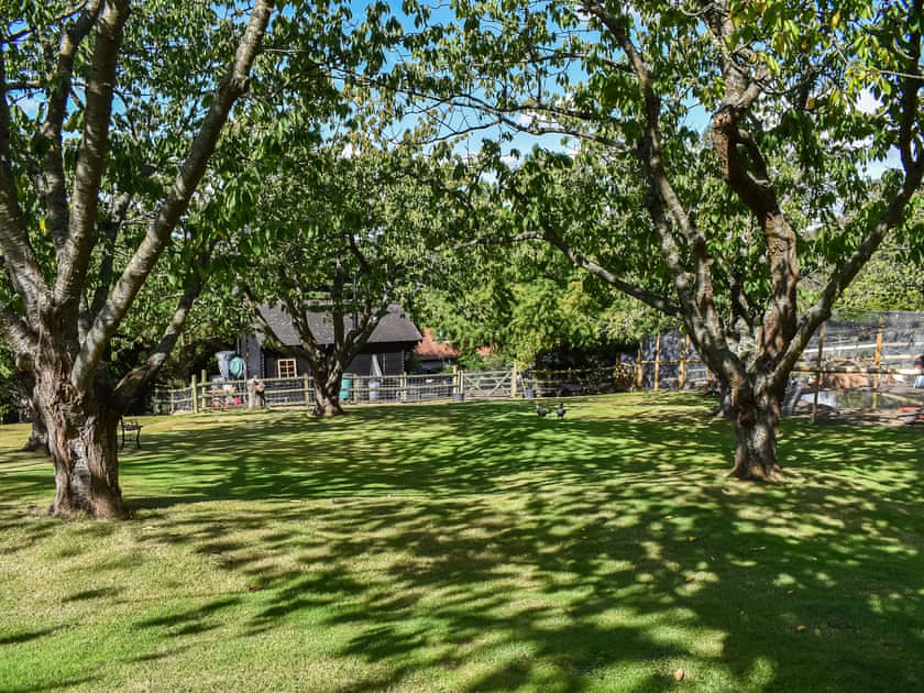 Outdoor area | Lekido, Faversham
