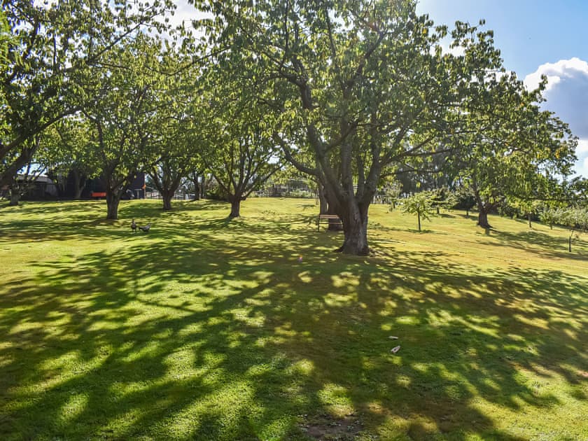Outdoor area | Lekido, Faversham