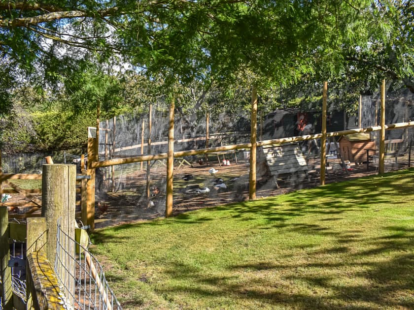 Outdoor area | Lekido, Faversham