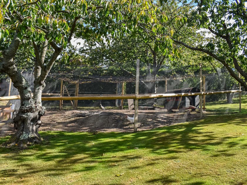 Outdoor area | Lekido, Faversham
