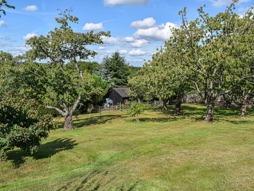 Outdoor area | Lekido, Faversham