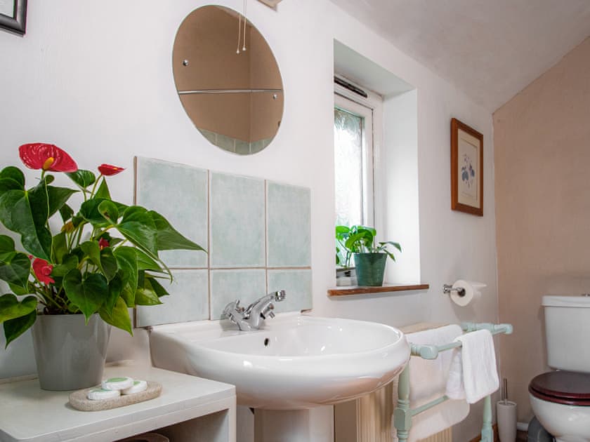 Bathroom | Hen EfailOld Smithy, Tregaron