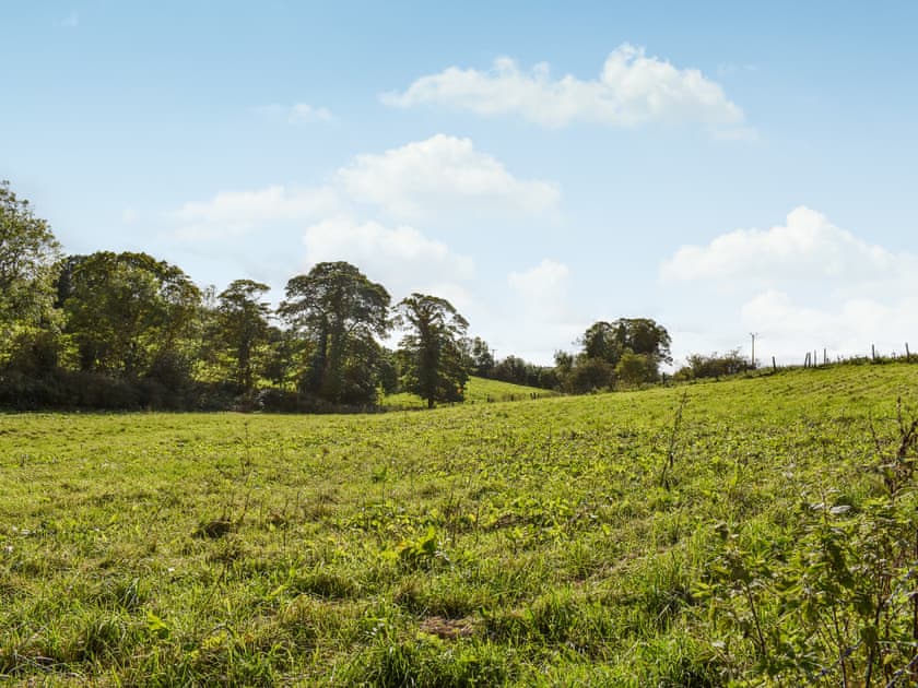 Surrounding area | Woodside Cottage, Witton Park, near Bishop Auckland