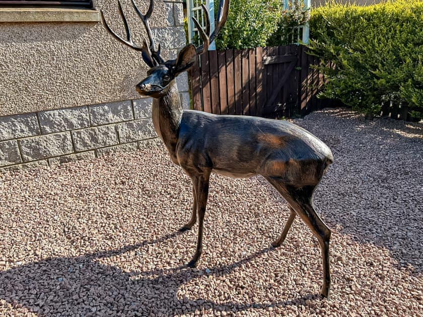 Exterior | Willow Lodge, Macduff, near Banff