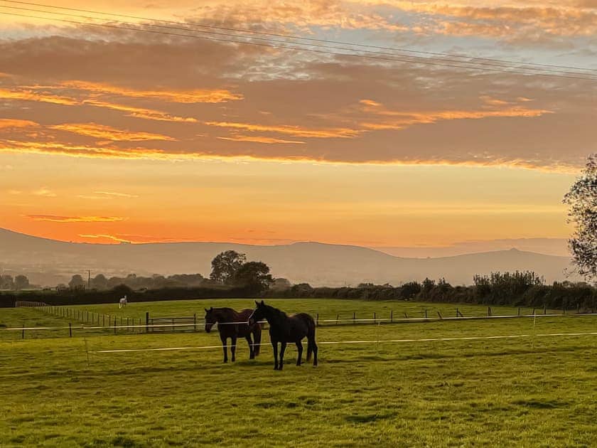 Enjoy paddock views from the lodge, veranda and swing seat  | The Escape, South Hill, near Tamar Valley