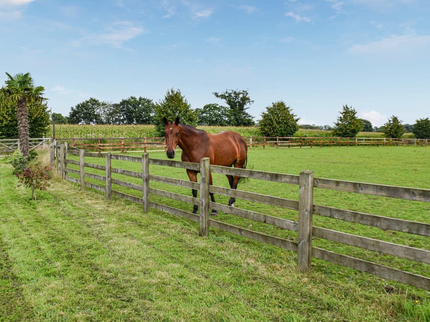 Setting | Cedar Lodge - Solar Rise Lodges, Old Buckenham
