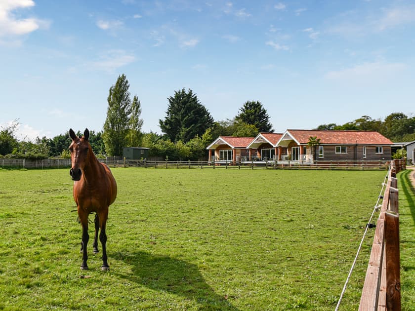 Setting | Cedar Lodge - Solar Rise Lodges, Old Buckenham
