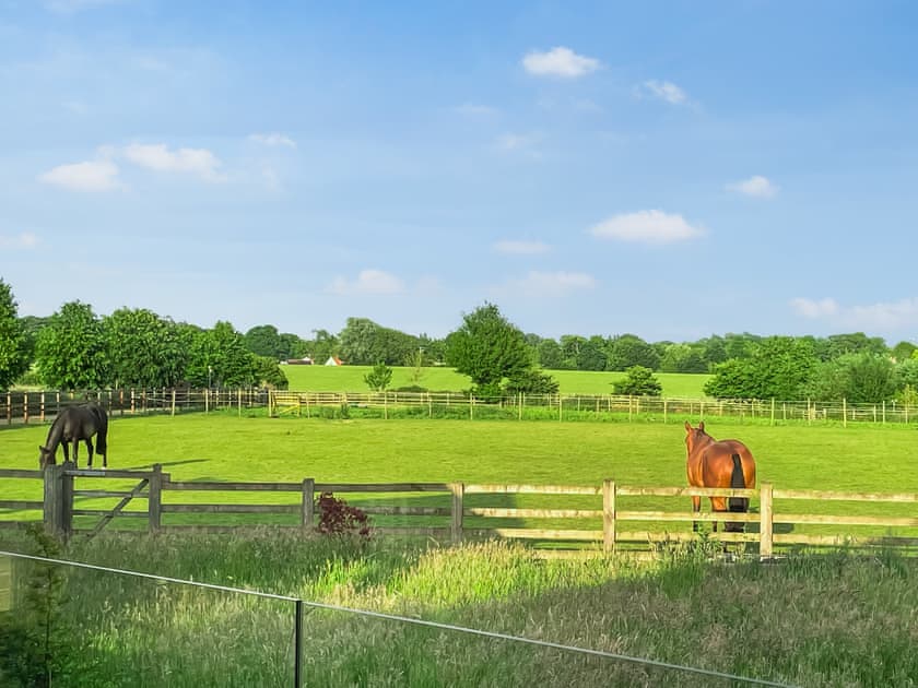 Surrounding area | Chestnut Lodge - Solar Rise Lodges, Old Buckenham