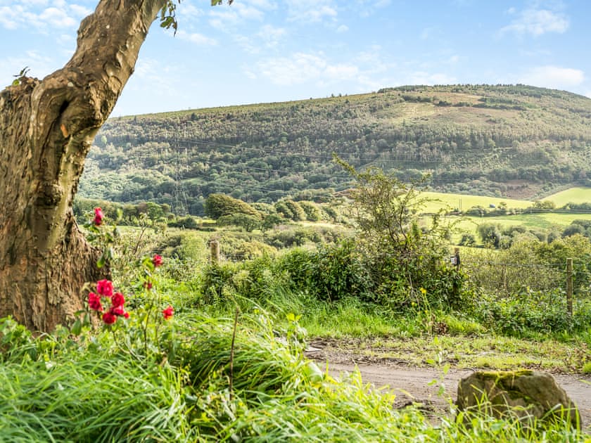Setting | Bwlch Farm Lodge, Cwmavon, near Swansea