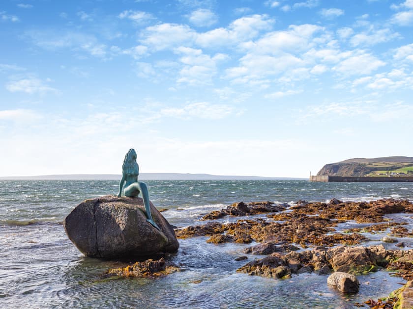 Surrounding area | Mermaid View, Balintore, near Tain