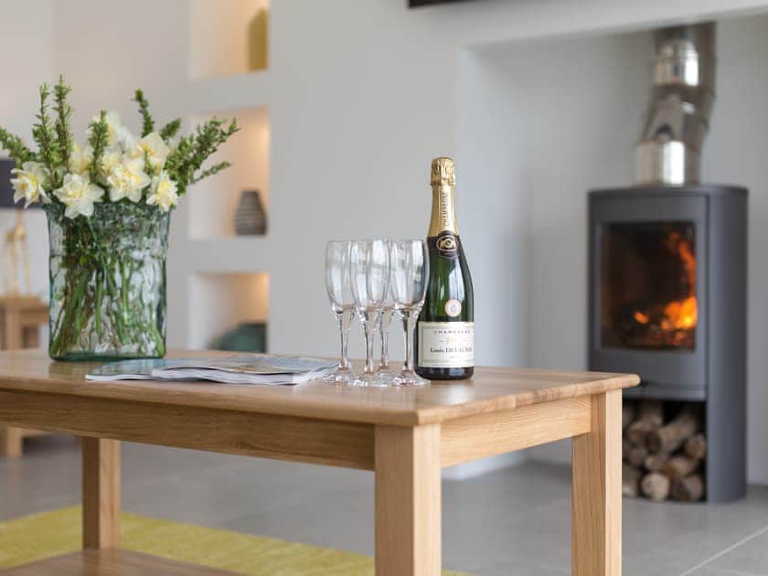 Warming wood burner within living area | Tree Park, Halwell, near Totnes
