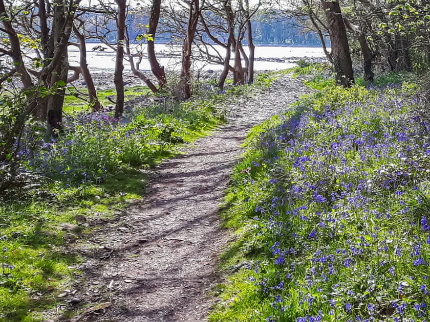 Surrounding area | Harbour Retreat, Newton Stewart