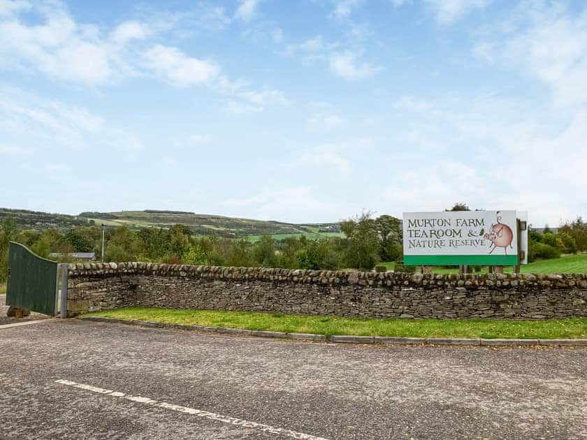 Surrounding area | Barn Owl Cabin - Redroofs Retreats, Forfar