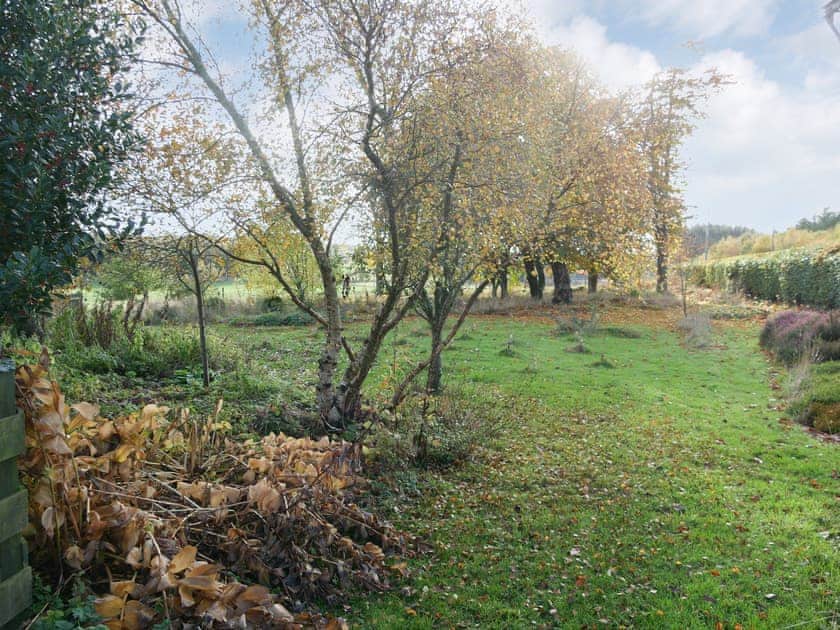 Surrounding area | Barn Owl Cabin - Redroofs Retreats, Forfar
