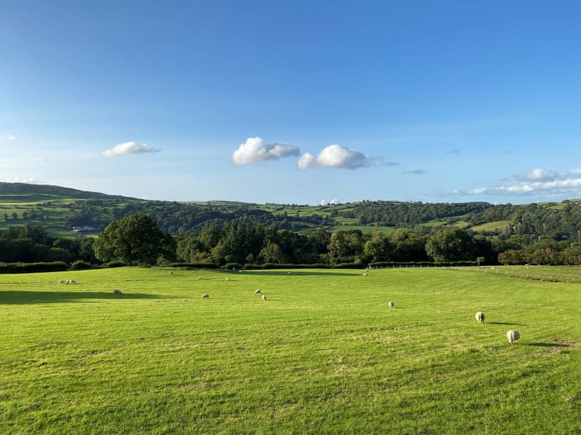 Surrounding area | Fedwr Gog, Bala