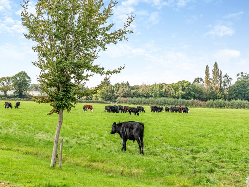 Outdoor area | The Old Dairy, Wimborne