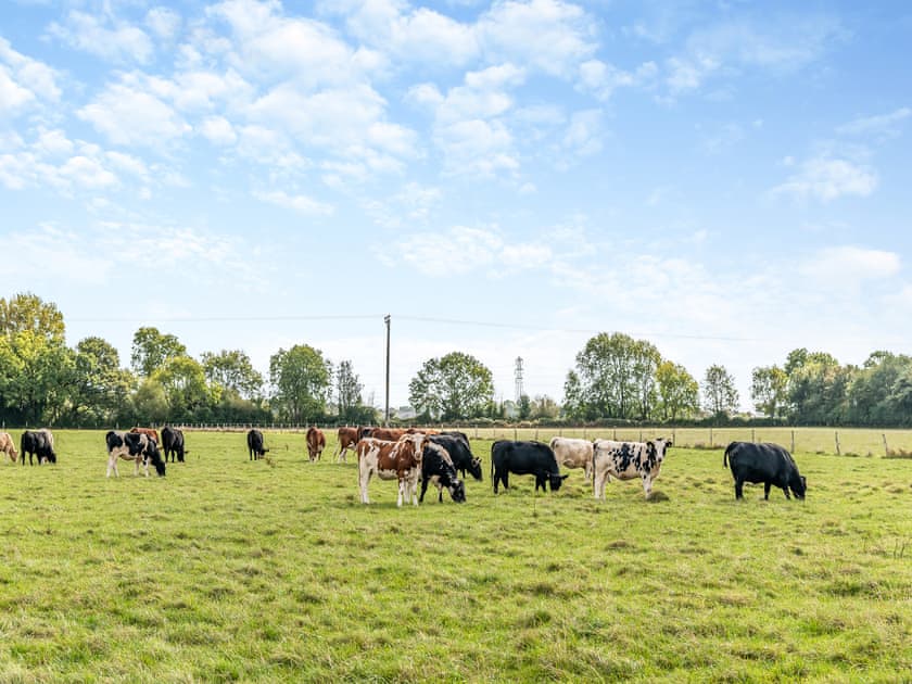 Outdoor area | The Old Dairy, Wimborne