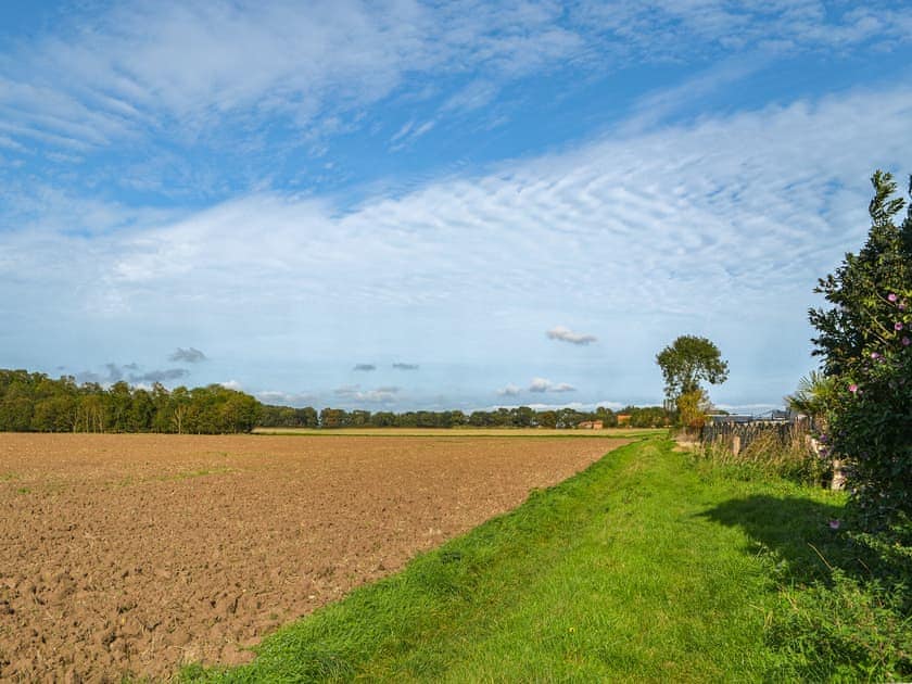 Surrounding area | Atmospheric, Patrington, near Hull