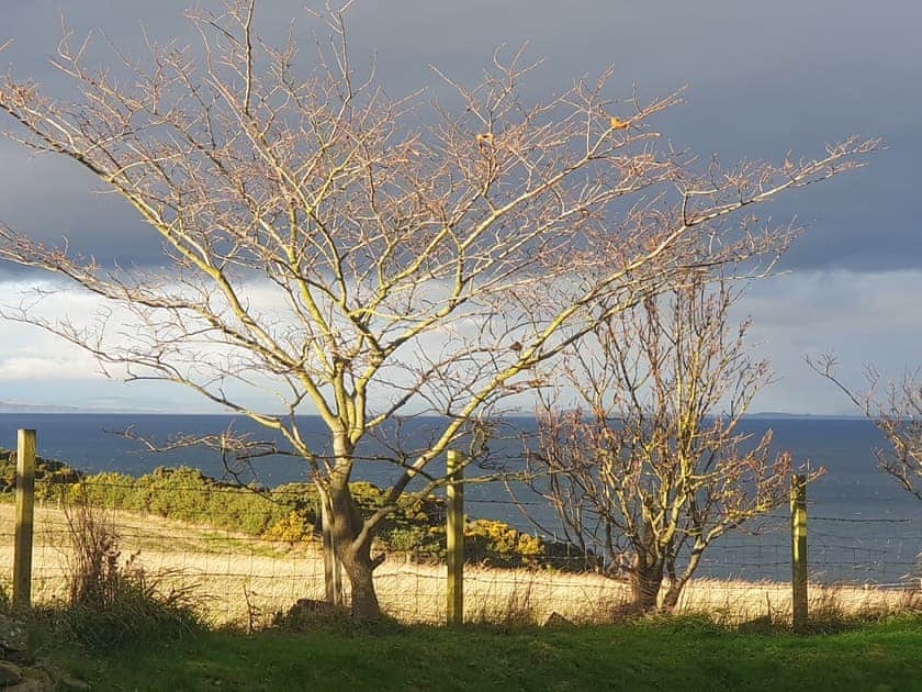Surrounding area | Shelterstone, Elgin