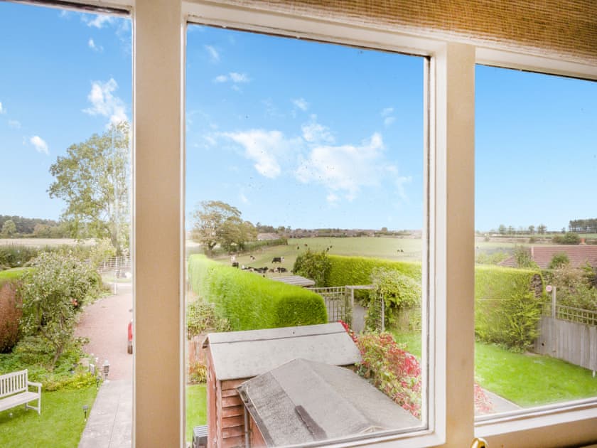View | The Hemmel, Christon Bank, near Beadnell