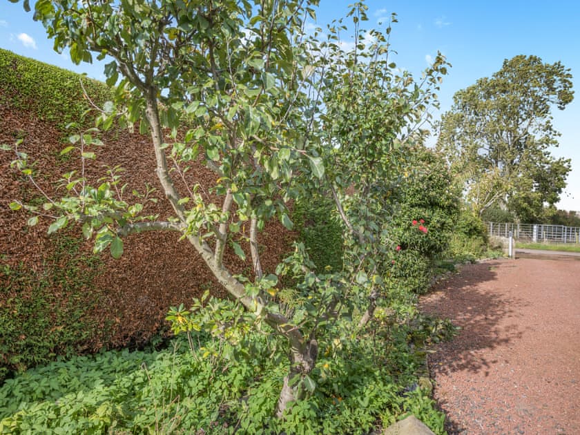 Garden | The Hemmel, Christon Bank, near Beadnell
