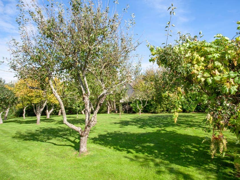 Patio | Orchard View - Sunnyfield, Bilbrook, Minehead