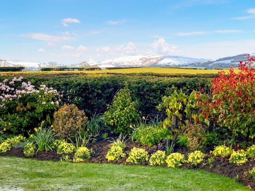 Surrounding area | Donadea Cottage, Babell near Holywell