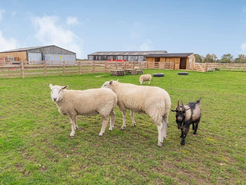 Local attraction | The Old Haybarn - Brookfields Holiday Farm, Church Broughton, near Derby