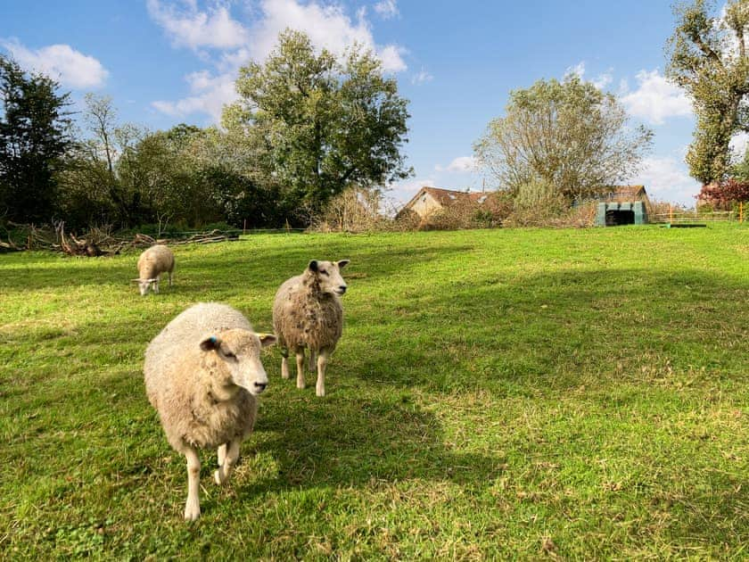 Surrounding area | Wick Mill, Stolford, near Stogursey