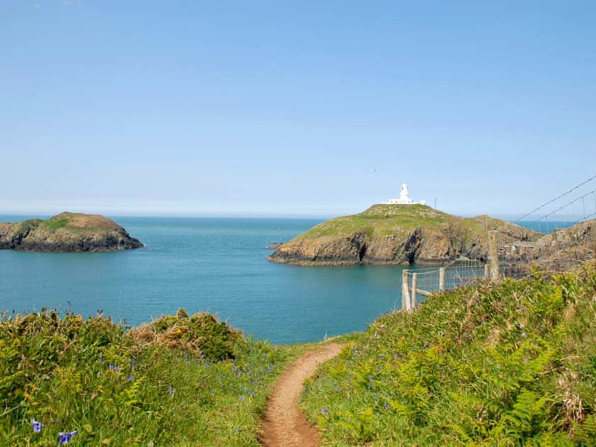 Lighthouse Watch, Strumble Head, Pembrokeshire Coast National Park