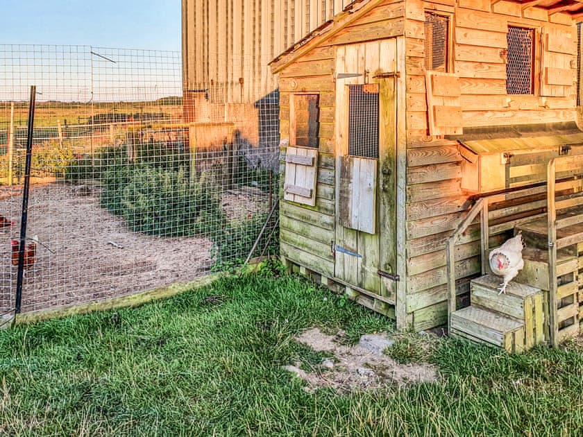 The children can collect the eggs from the chicken house. | Ty Fferm, Croesgoch