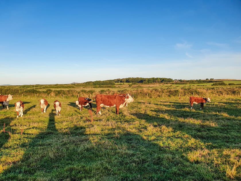 Surrounding area | Ty Fferm, Croesgoch