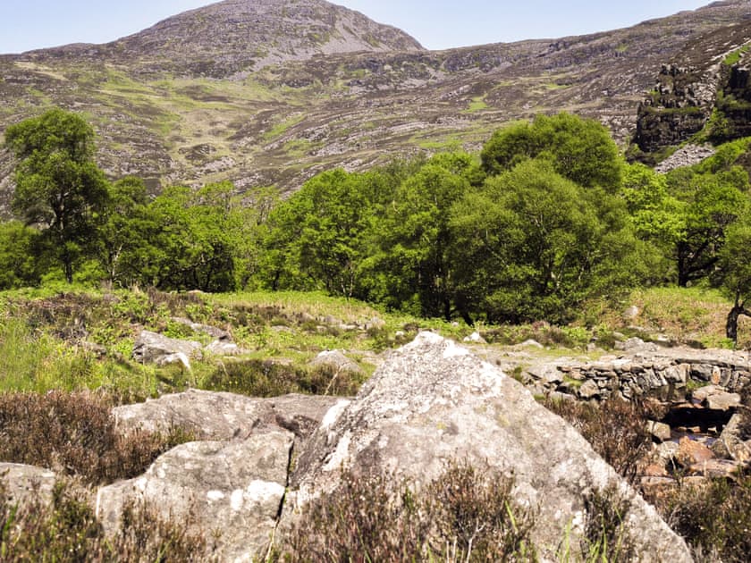 Tir Gafr, Harlech