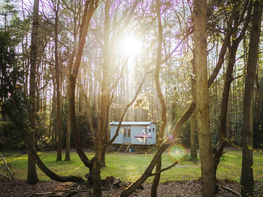 Goosewing Hut - Rosslyn Glamping, Melton Constable