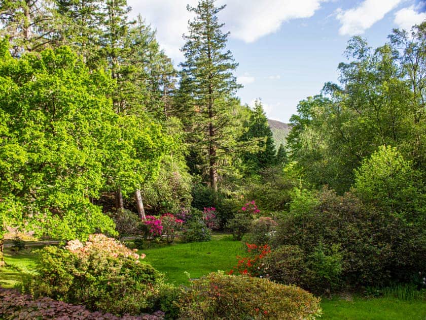 Garden | Achnashellach Bothy - Achnashellach, Strathcarron