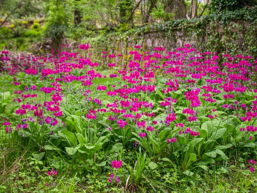 Garden | Achnashellach Bothy - Achnashellach, Strathcarron
